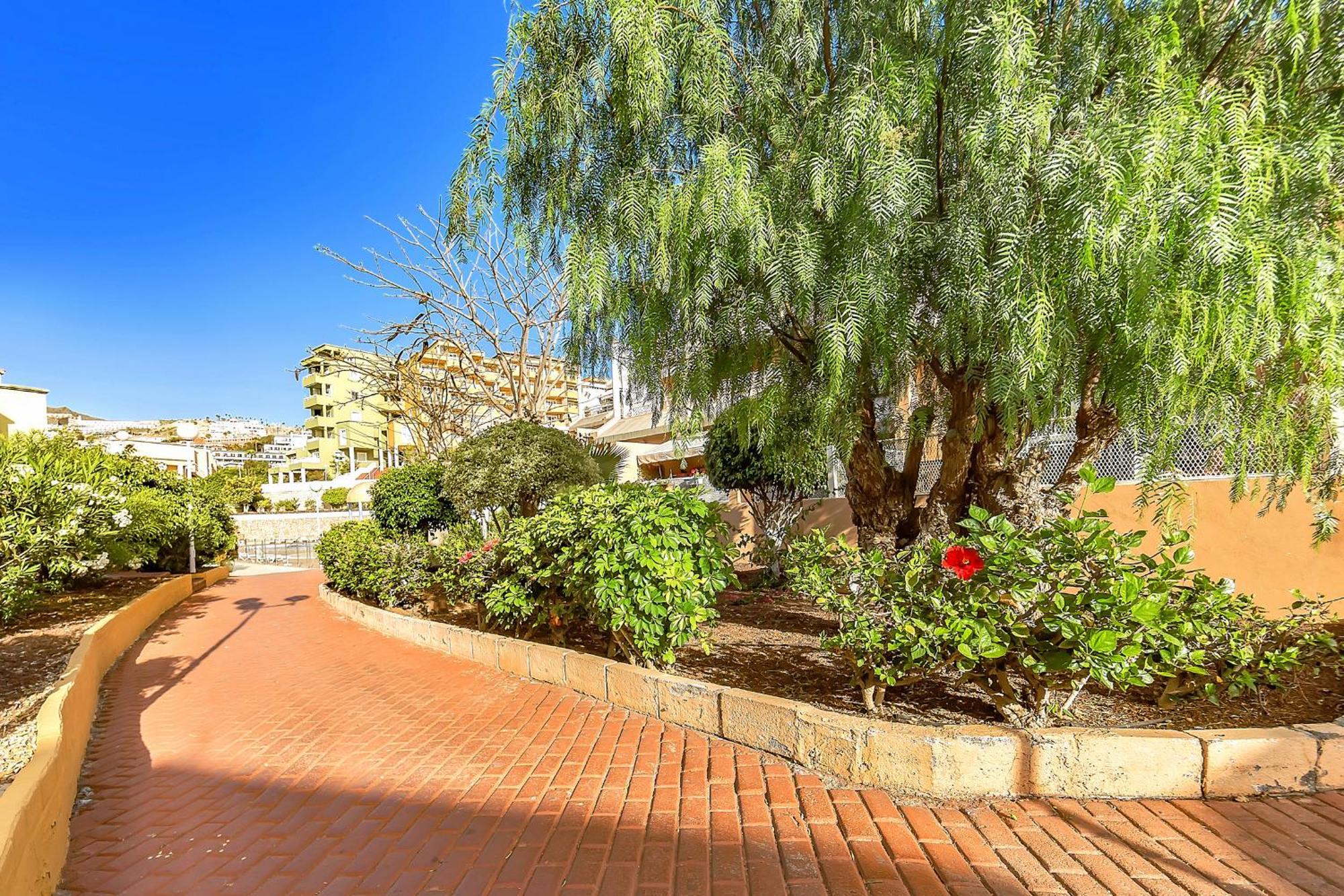 Tenerifeopenhome Ocean View Costa Adeje Екстериор снимка